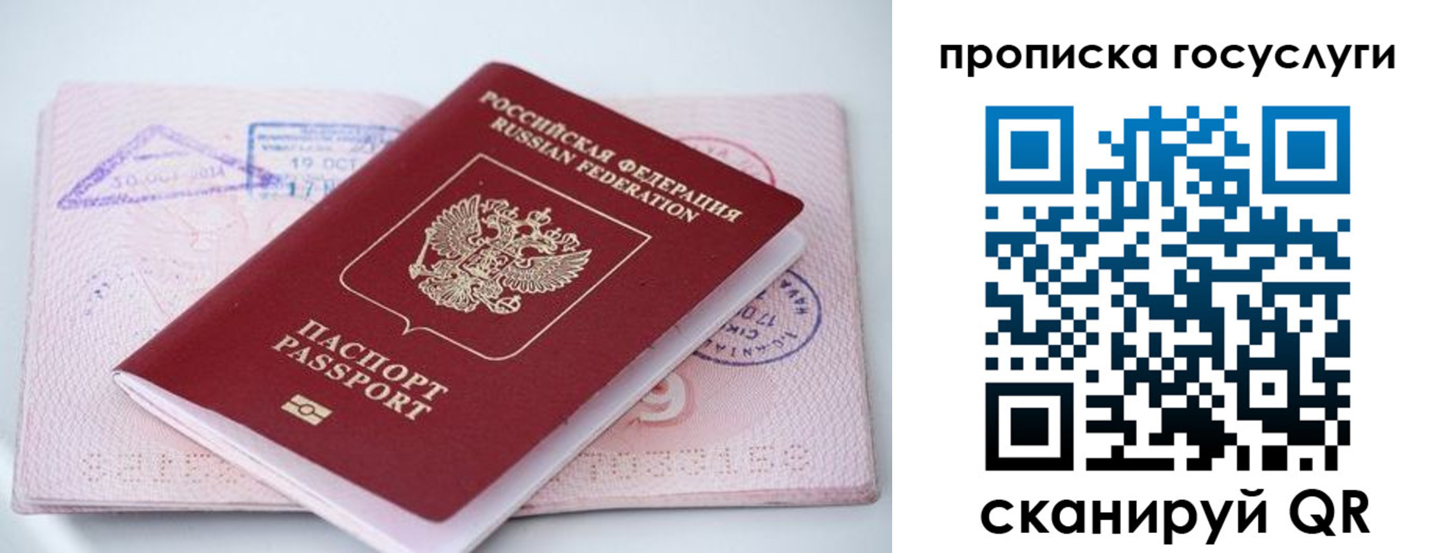прописка законно в Алдане